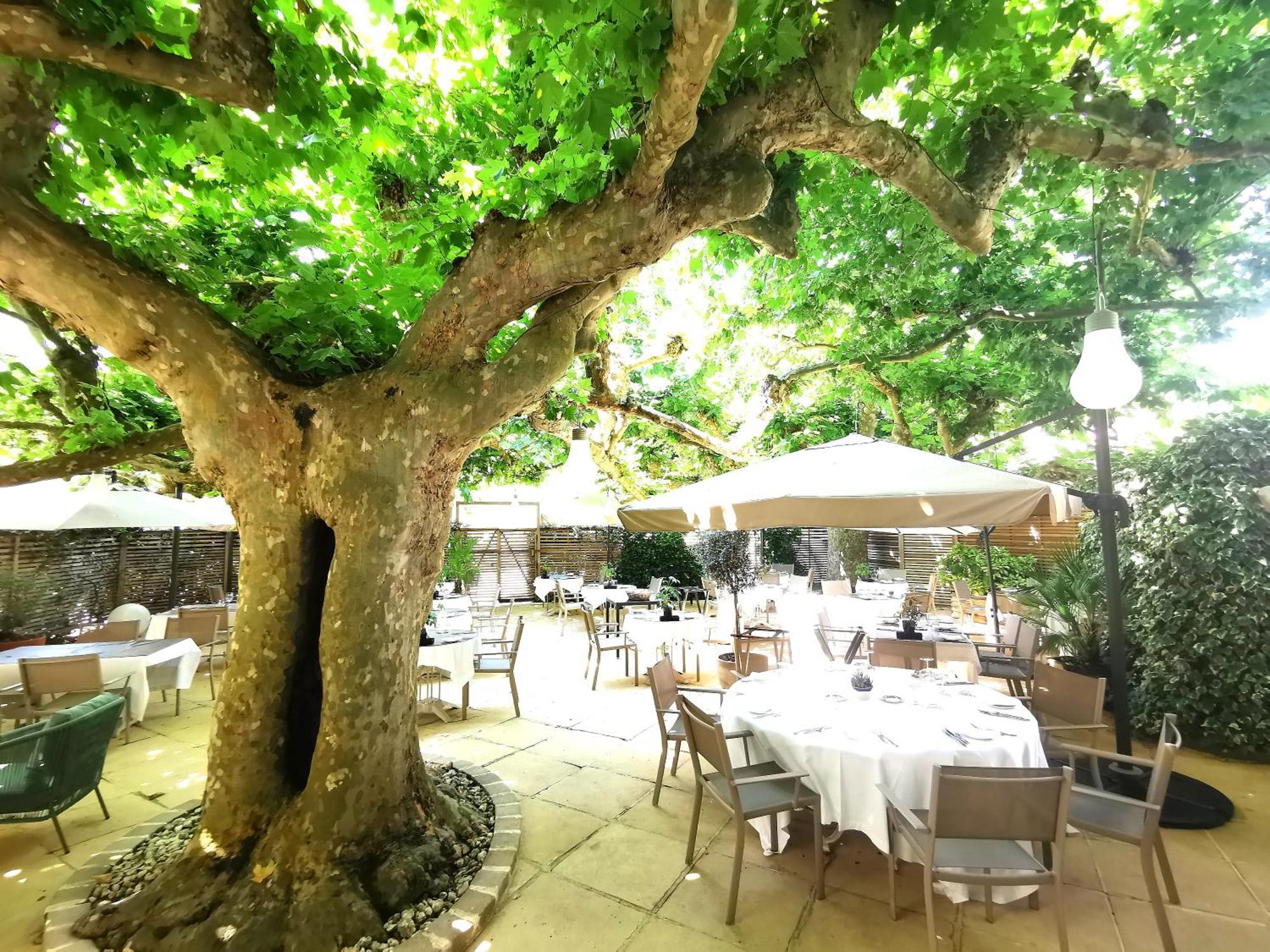Logis Hotel - Restaurant Maison Claude Darroze ลองกุง ภายนอก รูปภาพ